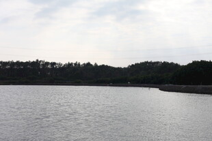 宁静湖畔自然风光