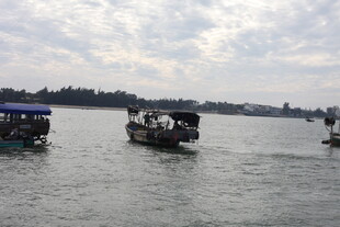 水面上的多艘船只