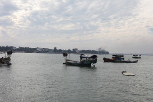 江面上的船只与开阔景色