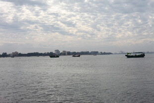 江面上的船只与远处景致