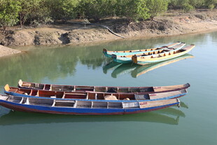 河畔停泊的多彩小船