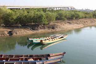 河畔停泊的多彩船只