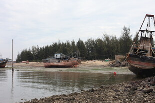 海边停泊的老旧船只