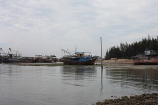 宁静渔港停泊的船只景象