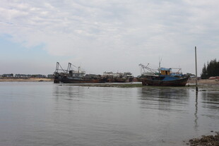 海上停泊的多艘渔船