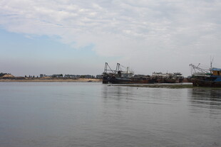 港口停泊的船只景象