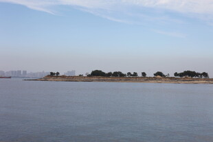 宁静水域中的绿意小岛