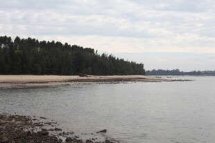 宁静湖畔的自然景致