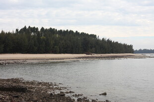 宁静湖畔沙滩与茂密树林