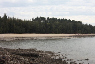 宁静湖畔沙滩与茂密树林