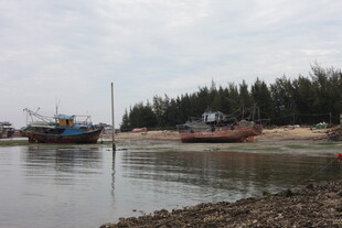宁静渔村港湾景象