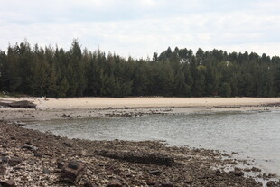 宁静海岸边的自然景致