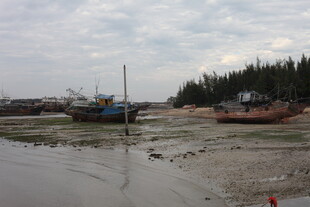 海边停泊的破旧船只