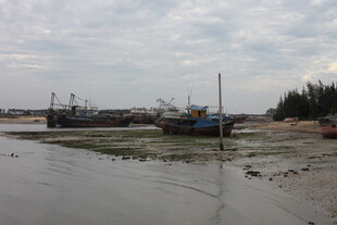 浅滩停泊的多艘渔船