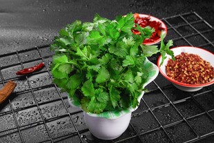 香菜