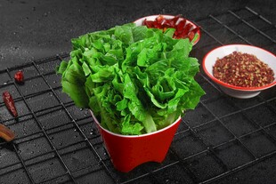 新鲜生菜