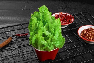 生菜