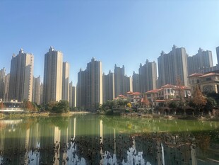 湖畔高楼林立的城市风光