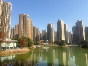 湖畔高楼林立的城市风光