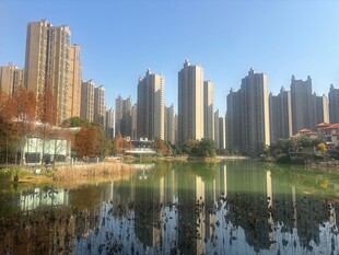 湖畔高楼林立的城市美景