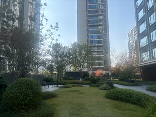 现代小区园林景观