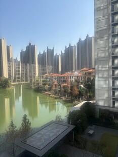 城市湖畔高楼景观