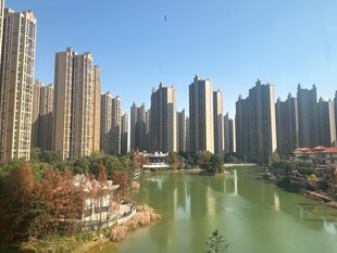 河畔高楼林立的城市景观