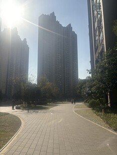 阳光照耀下的城市道路