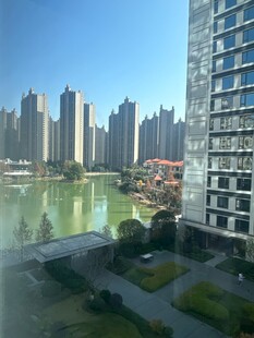 城市河畔高楼景观