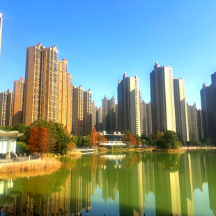 湖畔高楼林立的城市风光