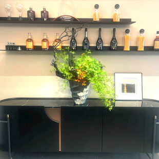 简约室内绿植与瓶罐装饰