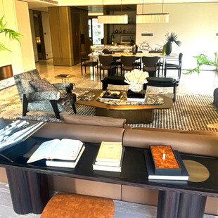 现代奢华客厅家居展示