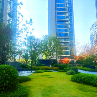 都市中的绿意花园景观