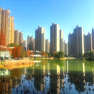 湖畔高楼林立的城市风光