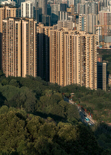 城市高楼与繁茂树林景观