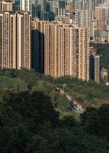 城市高楼与葱郁植被景观