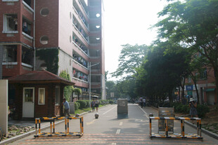 宁静校园内的空旷道路 厦门大学