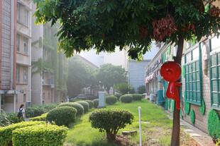 厦门大学绿意盎然的景观一角