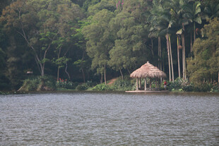 湖畔草亭 厦门大学