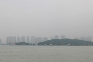 雾中海边城市景观 厦门