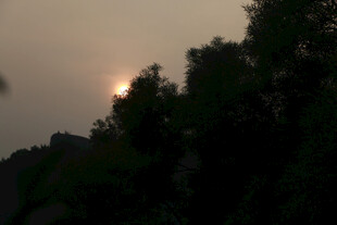 黄昏时分树林间的落日 厦门