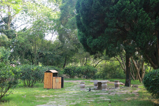 林间休憩小景 厦门