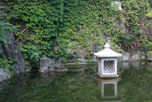 水中亭景 绿植环绕清幽处 厦门