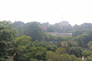 鼓浪屿绿树环绕中的建筑景观