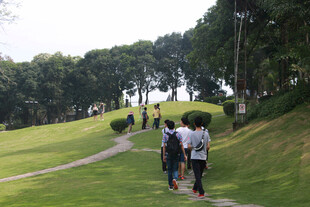 厦门公园小径上的漫步人群