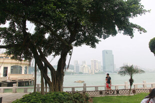 城市海边绿树旁的休闲景致 厦门