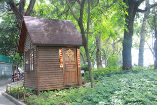 厦门鼓浪屿 林间木屋