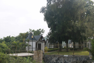 乡村小屋旁的葱郁绿树 厦门