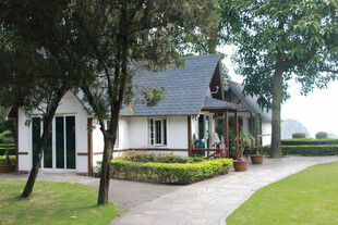 厦门鼓浪屿乡村小屋旁的宁静景致