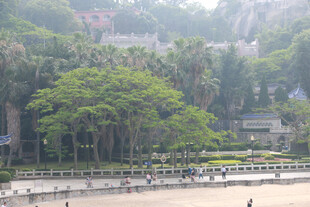 城市中的绿意公园景观 鼓浪屿